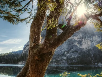 Live Piano 12 Of April 2021 - Shine & Bliss