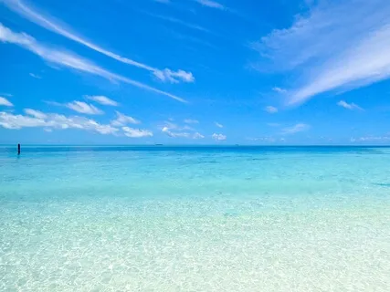 Live Piano 17 March 2021 (Expansion)