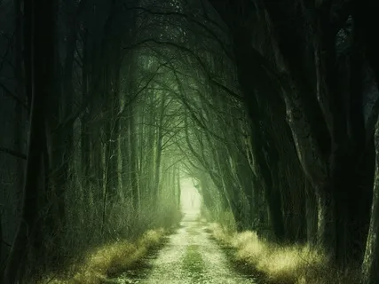 Heart Awakening (Live Piano 18 Feb 2021 Part 2)