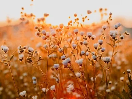 Live Piano 22 Of March 2021 (Spring Joy)