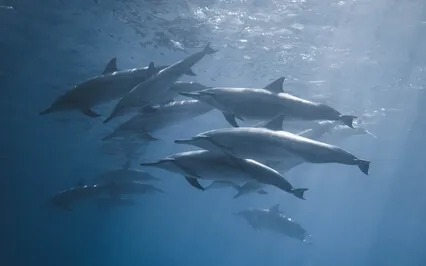 Live Piano Jan 24 (Space Of Peace Part 1)