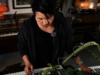 Live Plant And Piano Music For Anxiety Relief At 528 Hz