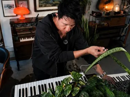 Live Plant Music for Calm And Emotional Balance At 528 Hz