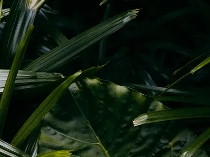 Live Recorded Emotional Regulation Practice July 2024