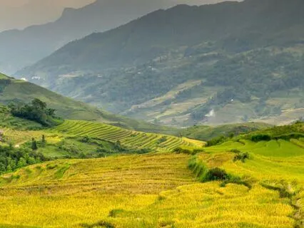 Live Recording: Releasing Blocks To Money And Abundance