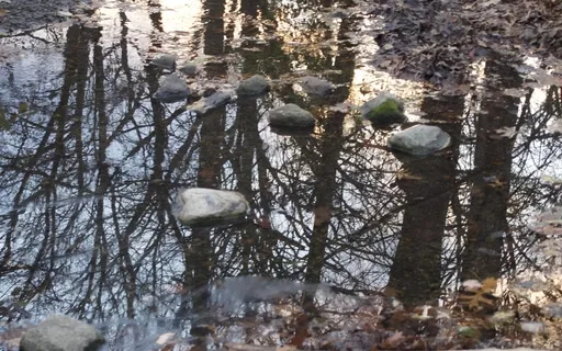 Live Scape Relaxation/Soundscape 103 (Archive Oct 25, 2022)