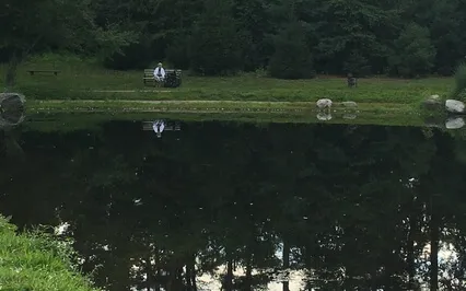 Live Scape Relaxation/Soundscape 92 (Archive July 27, 2022)