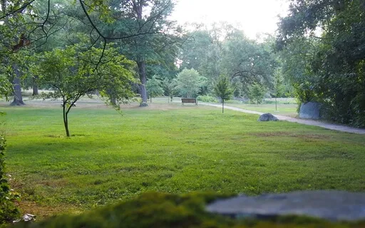 Live Scape Relaxation/Soundscape 94 (Archive Aug 10, 2022)