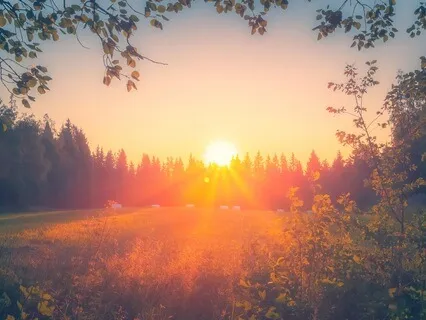 Live Series - Sound Bath - Evening Sun