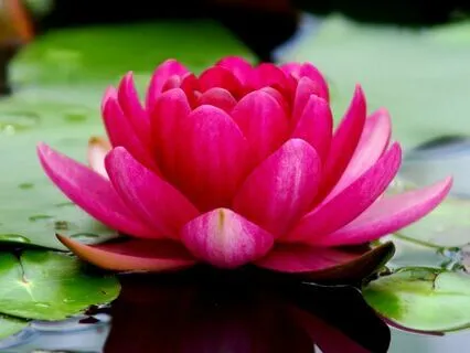 Live Session: Breathwork To Connect With The Authentic Self