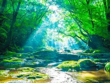 Live Session Extract - Meditation