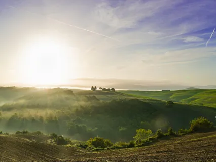 Live Simply - Deep Flower-Like Joy