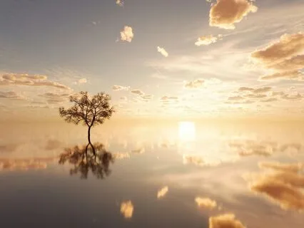 Sound Bath | Restful Sleep