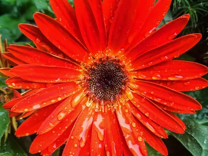 Live Soundbath: Bowls Of Peace