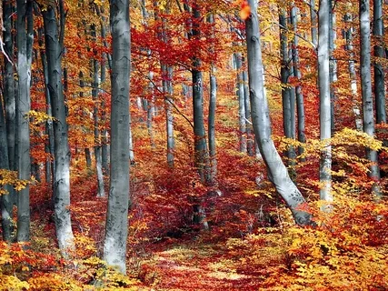 Live Talk - Reincarnation, The Changing Seasons & Releasing Stagnation 