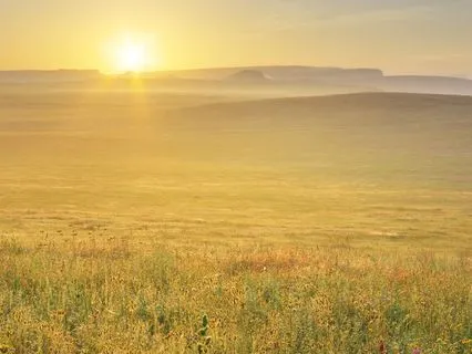 Live Talk: Visionboard Workshop– Manifest Your Dream Life