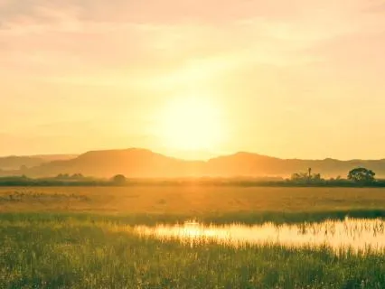 Live Your Highest Reality Today - Manifestation Meditation