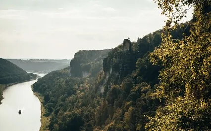 Live Your True Greatness 