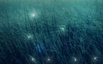 Liver Restoration And Energy Extraction