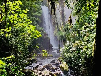 Livets Strøm - Brus Af Kraft