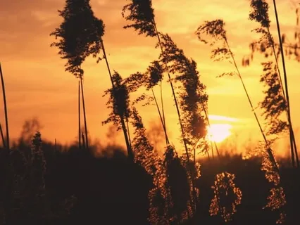 Living A Life In Awareness