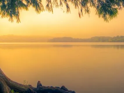 Living A True Life, Not Just A Lifestyle