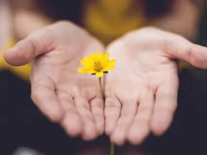 Living A Value Driven Life