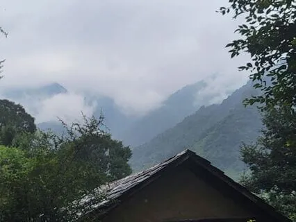 संगीत और शब्द