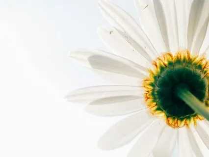 Living And Making Peace With Addiction And Anxiety