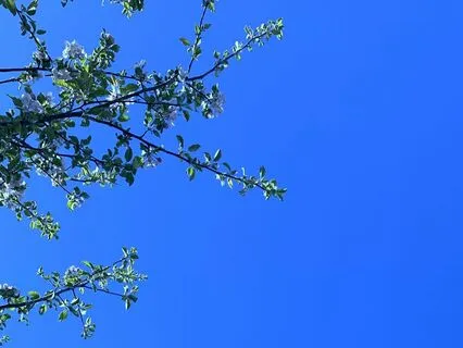 Living AWAKE – Guided Foundation Meditation