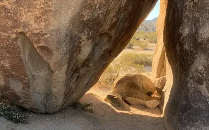 Living Bold & Authentic Soul Download