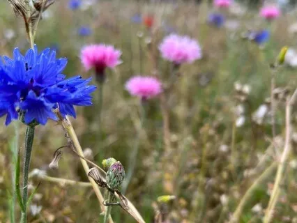 Living From Love - August 9th