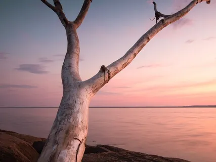 Living From The Inside Out