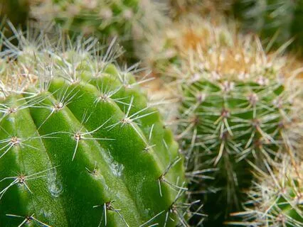 Living In Flow By Creating Energy Alignment