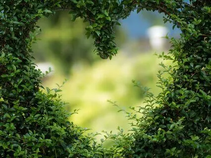 Living In Love