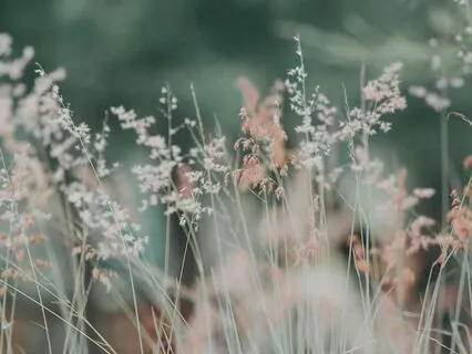 Living In The Feminine Unknown (Are We There Yet?)