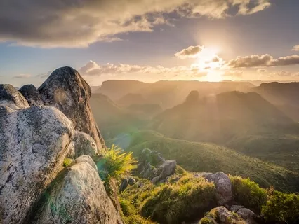 Living In The Future