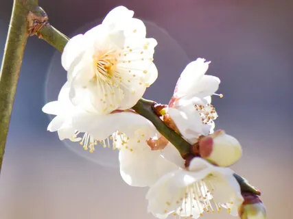 Living In The Moment Is Forever