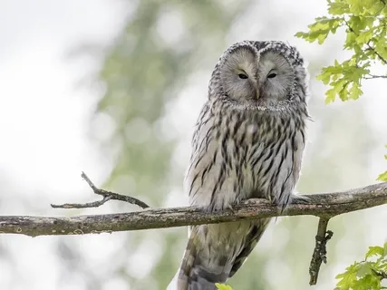 Living In The Moment 