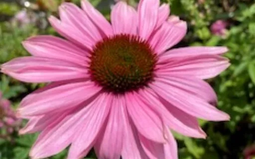 Living In The Present