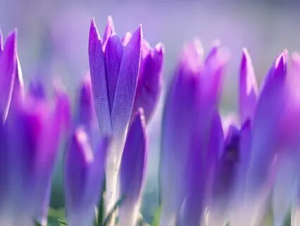 [English] Living In The Present Moment