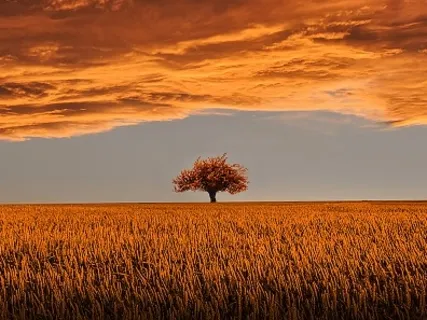 Living In The Question 