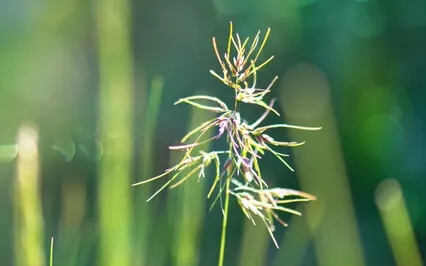 Living Outside Facts Creates Overwhelm