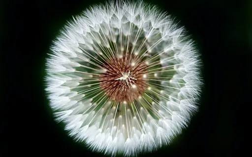  Living Soulfully- An Awareness Practice For Depth & Delight 