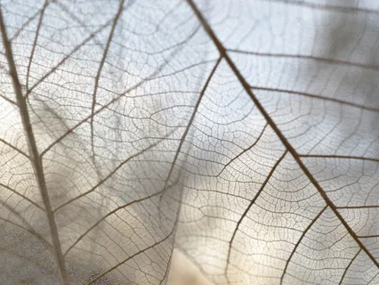 Spiritual Stability - Weekly Energy Boost