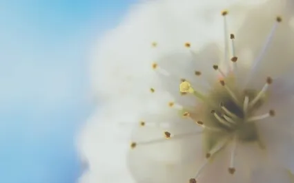 Living The Life Of Your Dreams