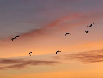 Living The Serenity Prayer