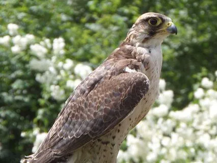 Living With Anxiety & Thriving Anyway