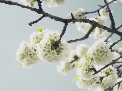 Living With Mental Illness