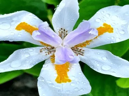 Living With Peace In Your Life
